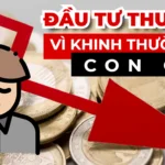 dau tu thua lo vi khinh thuong con cai